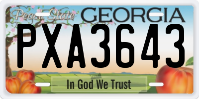 GA license plate PXA3643
