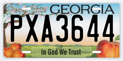 GA license plate PXA3644
