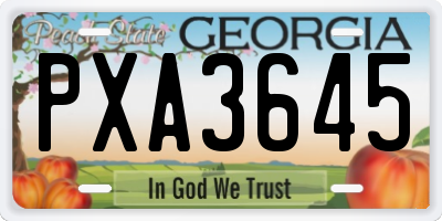 GA license plate PXA3645