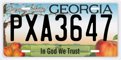 GA license plate PXA3647
