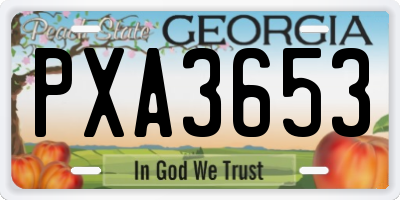 GA license plate PXA3653