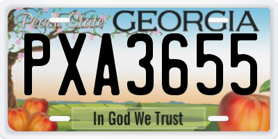 GA license plate PXA3655