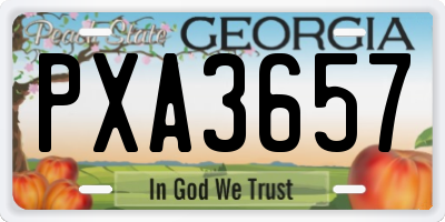 GA license plate PXA3657