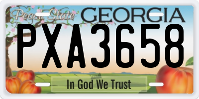 GA license plate PXA3658