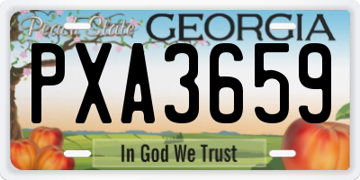 GA license plate PXA3659
