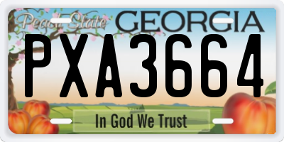 GA license plate PXA3664