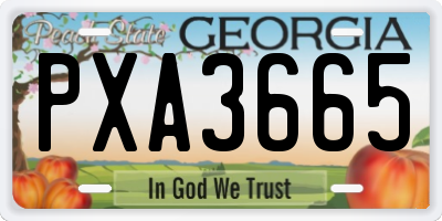 GA license plate PXA3665