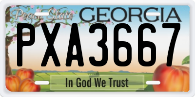 GA license plate PXA3667