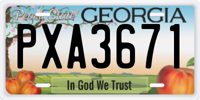 GA license plate PXA3671