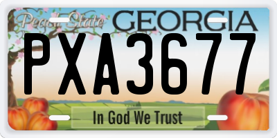 GA license plate PXA3677