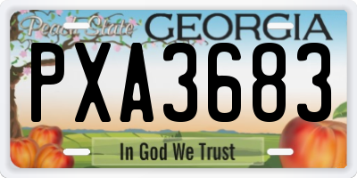 GA license plate PXA3683