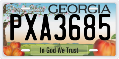 GA license plate PXA3685
