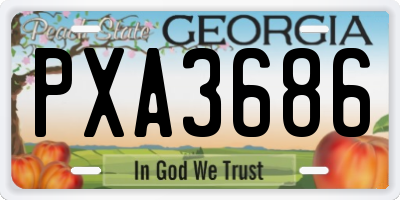 GA license plate PXA3686