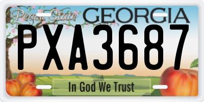 GA license plate PXA3687