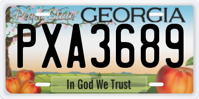 GA license plate PXA3689