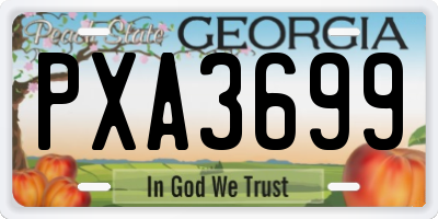 GA license plate PXA3699