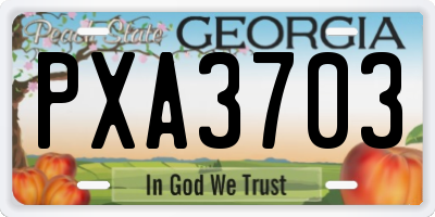 GA license plate PXA3703