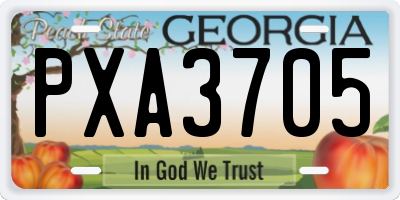 GA license plate PXA3705
