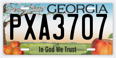 GA license plate PXA3707