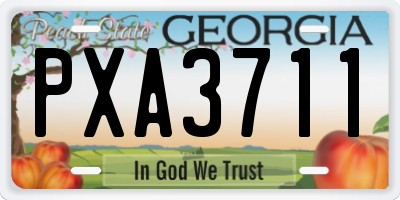 GA license plate PXA3711