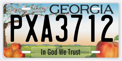 GA license plate PXA3712