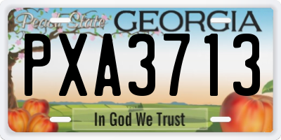 GA license plate PXA3713