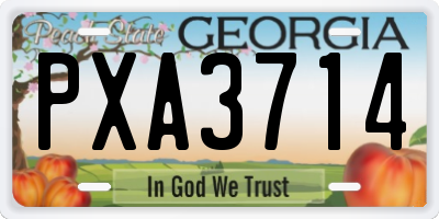 GA license plate PXA3714