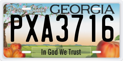 GA license plate PXA3716