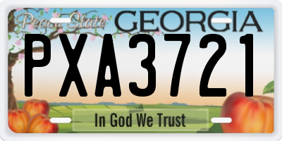 GA license plate PXA3721