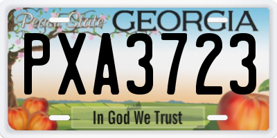 GA license plate PXA3723