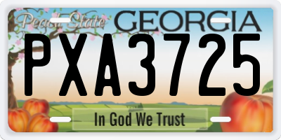 GA license plate PXA3725