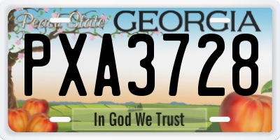GA license plate PXA3728