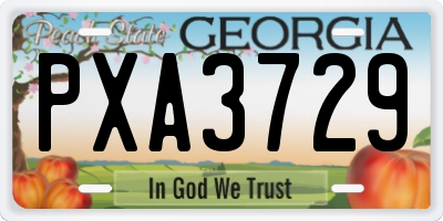 GA license plate PXA3729