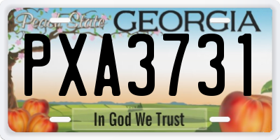 GA license plate PXA3731