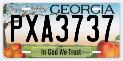 GA license plate PXA3737