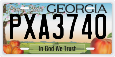 GA license plate PXA3740