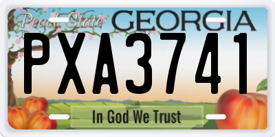 GA license plate PXA3741