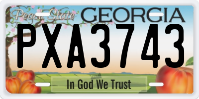 GA license plate PXA3743