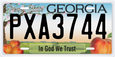GA license plate PXA3744