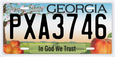 GA license plate PXA3746