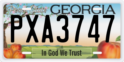 GA license plate PXA3747