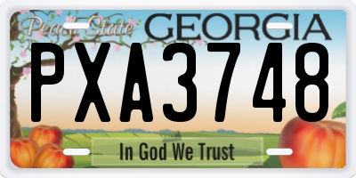 GA license plate PXA3748