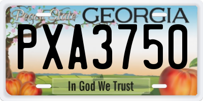 GA license plate PXA3750