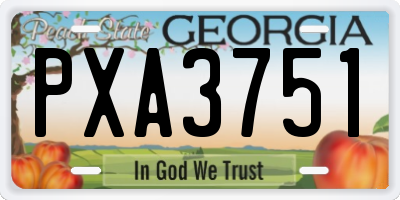 GA license plate PXA3751