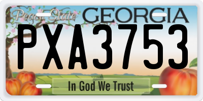 GA license plate PXA3753