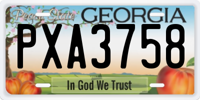 GA license plate PXA3758