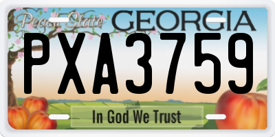 GA license plate PXA3759