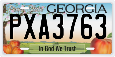 GA license plate PXA3763