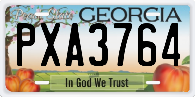 GA license plate PXA3764