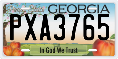 GA license plate PXA3765